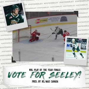 Image post by @everett_silvertips on Instagram