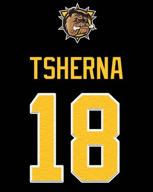 Image post by @bulldogsohl on Instagram