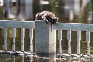 Image post by @gettyimages on Instagram