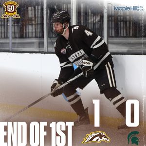 Image post by @wmu_hockey on Instagram