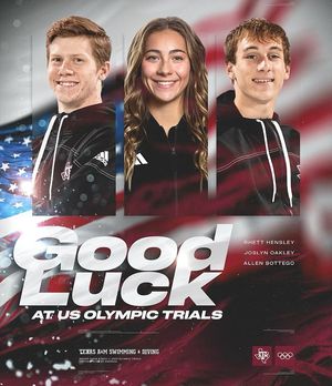 Image post by @aggieswimdive on Instagram