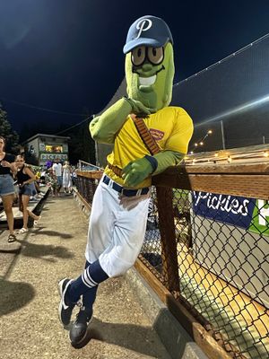 Image post by @picklesbaseball on Twitter