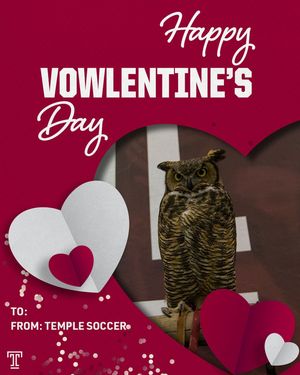 Image post by @templewsoccer on Instagram