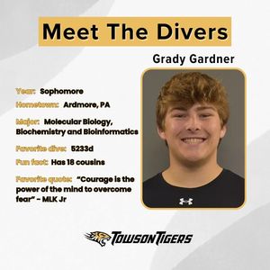 Image post by @towson_diving on Instagram