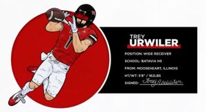 Image post by @niuhuskies on Instagram