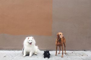 Image post by @vsco on Instagram