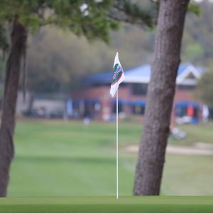 Image post by @GatorsGolf on Twitter