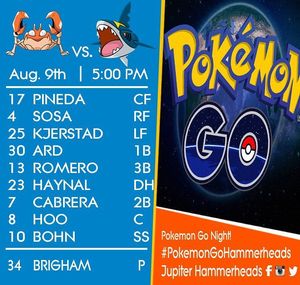 Image post by @gohammerheads on Instagram