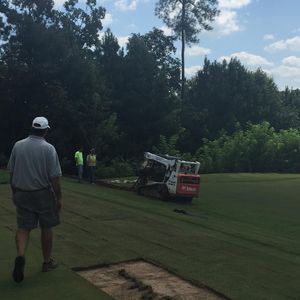 Image post by @auburnmgolf on Instagram