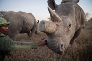 Image post by @natgeo on Instagram