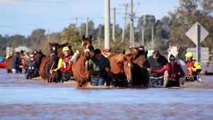 Image post by @NZHorseAmbulanceTrust on Facebook