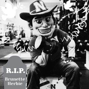 Image post by @huskerchicks on Instagram