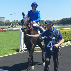 Image post by @australianturfclub on Instagram