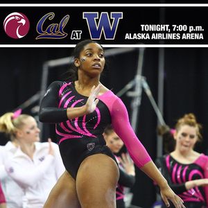 Image post by @uwgymnastics on Instagram