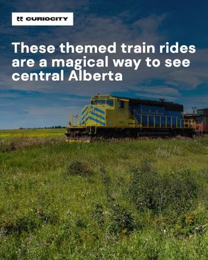 Image post by @curiocitycalgary on Instagram