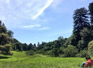 Image post by @ucsc on Instagram