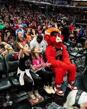 Image post by @bennythebull on Instagram