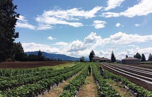 Image post by @tourismabbotsford on Instagram