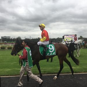 Image post by @australianturfclub on Instagram