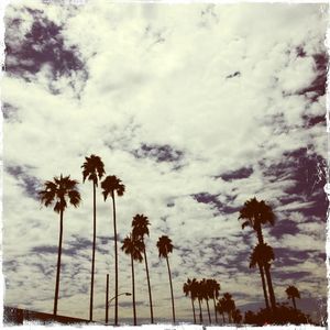 Image post by @fotowill on Instagram