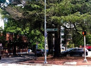 Image post by @liveitupraleigh on Instagram