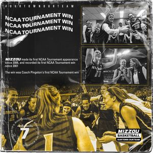 Image post by @mizzouwbb on Instagram
