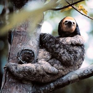Image post by @discovery on Instagram