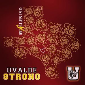 Image post by @mcallenisd on Instagram