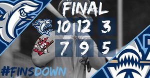 Image post by @ilmsharks on Instagram