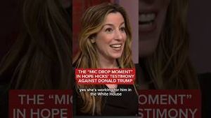 Video post by @msnbc on YouTube