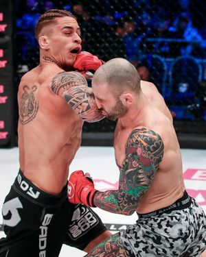 Image post by @bellatormma on Instagram