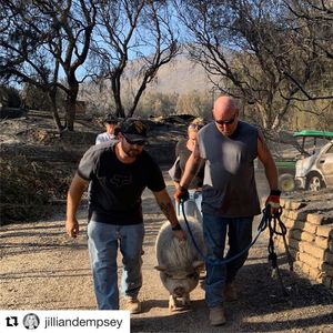 Image post by @patrickdempsey on Instagram