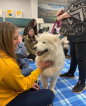 Image post by @nauflagstaff on Instagram