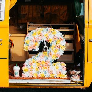Image post by @starbucks on Instagram