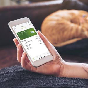 Image post by @neteller on Instagram