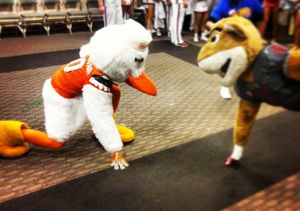 Image post by @um_sebastian on Instagram