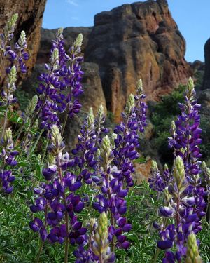Image post by @nationalparkservice on Instagram
