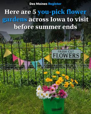 Image post by @dmregister on Instagram