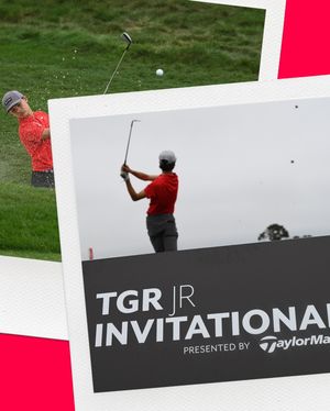 Image post by @tgrliveevents on Instagram