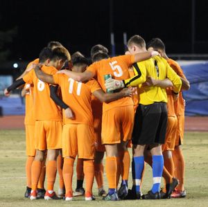 Image post by @fpusunbirds on Instagram