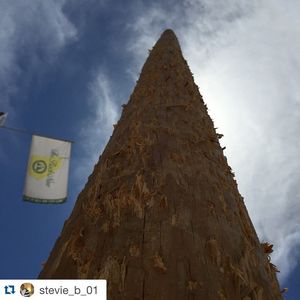 Image post by @sltc99 on Instagram
