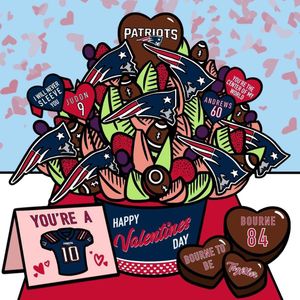 Image post by @patriots on Instagram