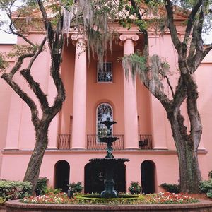 Image post by @collegeofcharleston on Instagram