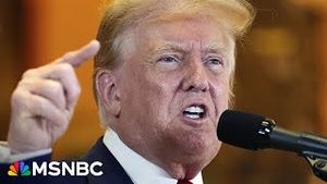 Video post by @msnbc on YouTube