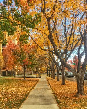 Image post by @boise_bucketlist on Instagram