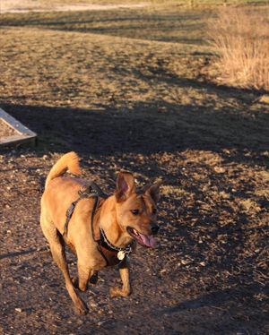 Image post by @lcunninghamcamera on Instagram