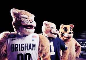 Image post by @cosmo_cougar on Instagram