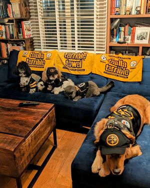 Image post by @steelers_nation_unite on Instagram