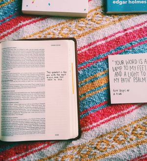 Image post by @jordanranease on Instagram