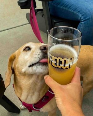 Image post by @reconbrewing on Instagram
